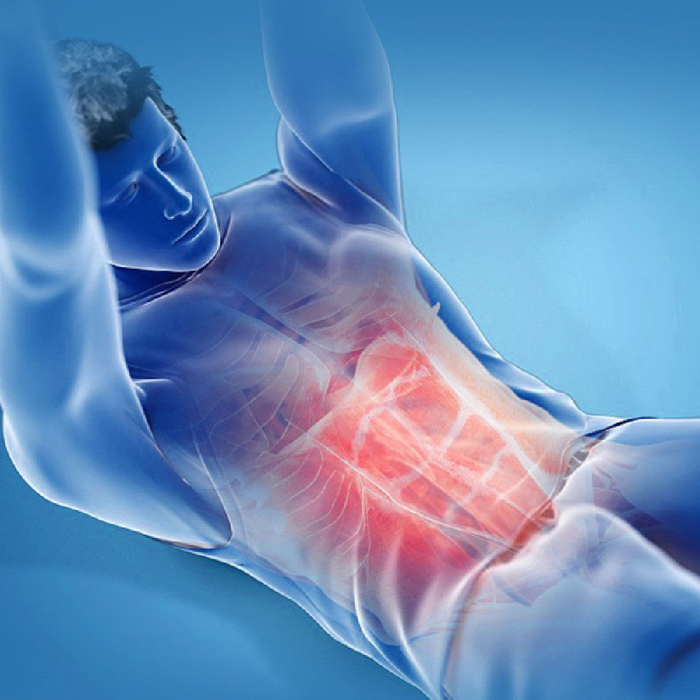 Abdominal Muscle trainer